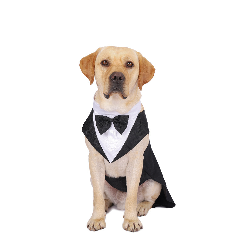 Cho Thú Cưng Quần Áo Thời Tran - đánh giá và giá Suitsupply Wedding Tuxedo