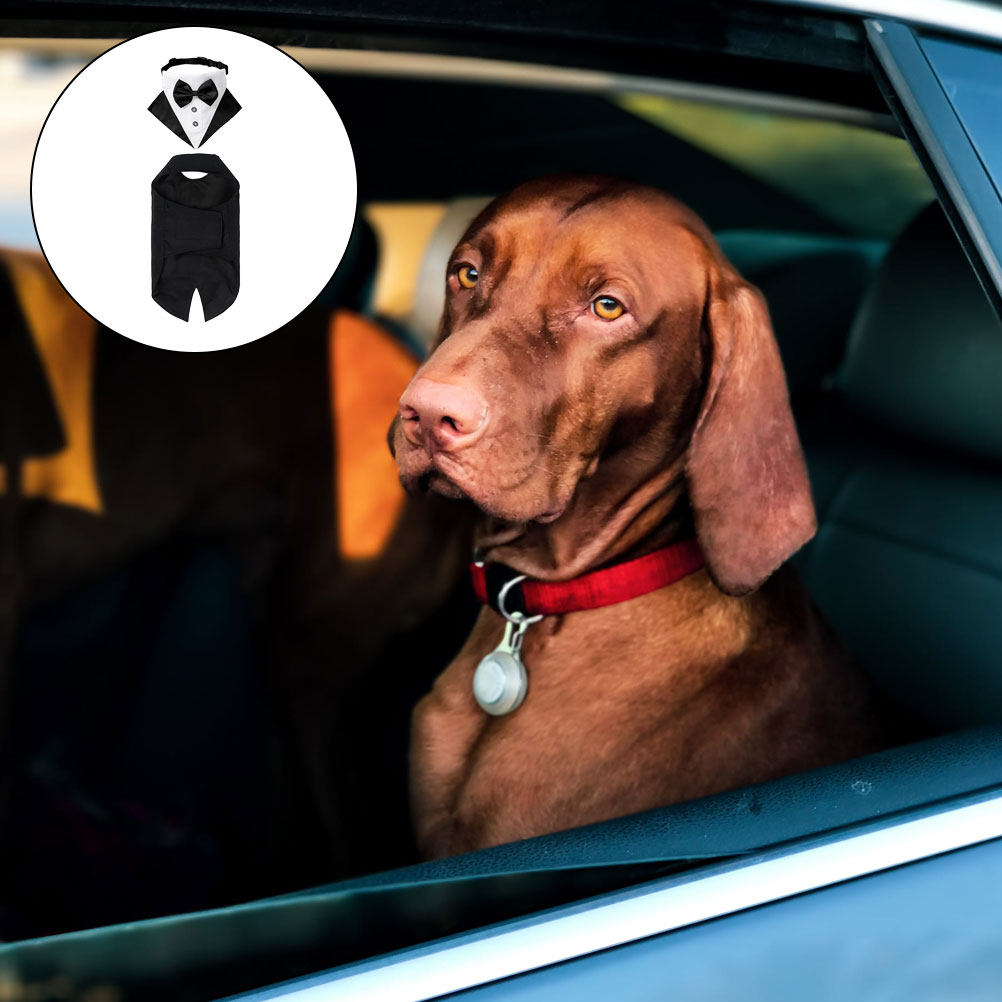1Set Dog Suit and Bandana Dog  - đánh giá và giá Suitsupply Wedding Tuxedo
